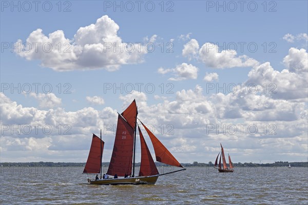 Zeesboots on Saaler Bodden