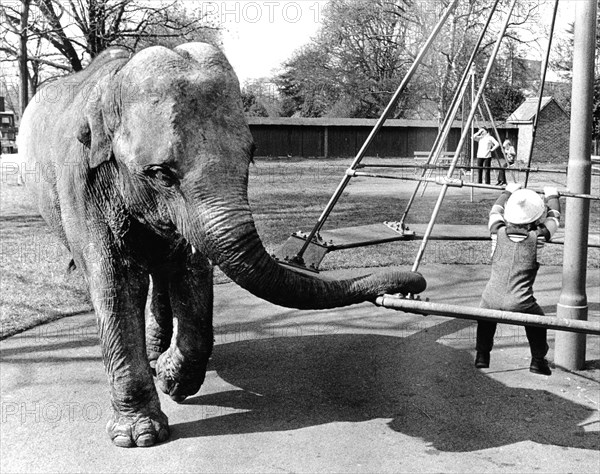 Elephant on the children's playground
