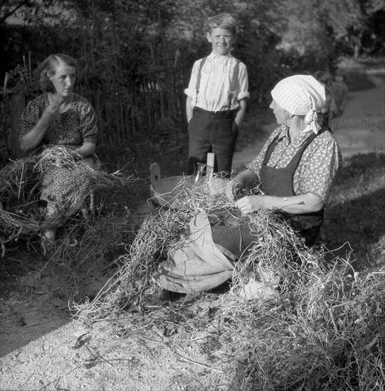 Women farmers