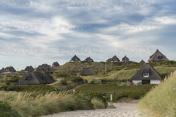 Thatched cottages in the dunes in front of Hornum Odde
