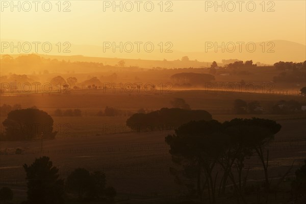 Sunset over wine region