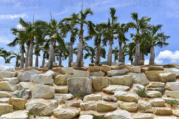 Imitation Stonehenge with Palms
