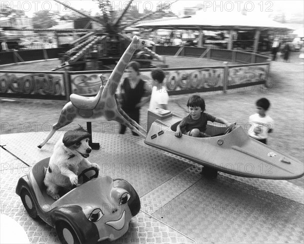 Boy and Jack Russell ride a carousel