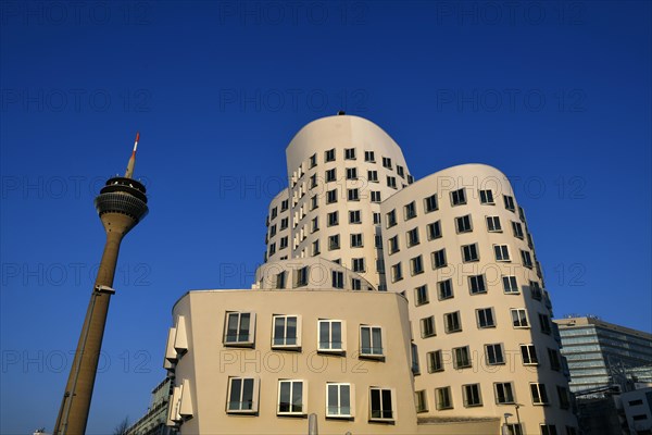 Rhine Tower with Gehry buildings