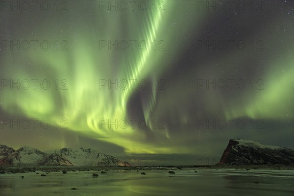 Northern lights on the coast near Gimsoy