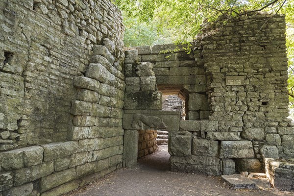 Lion Gate