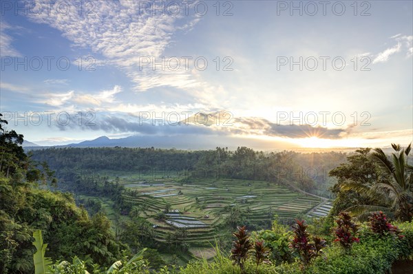 View of rice terraces and Gunung Agung volcano at sunrise