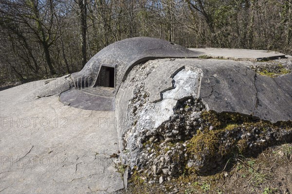 French machine-gun casemates