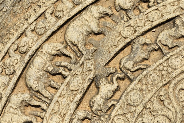 Moonstone with elephant motifs in front of the round reliquary house Vatadage