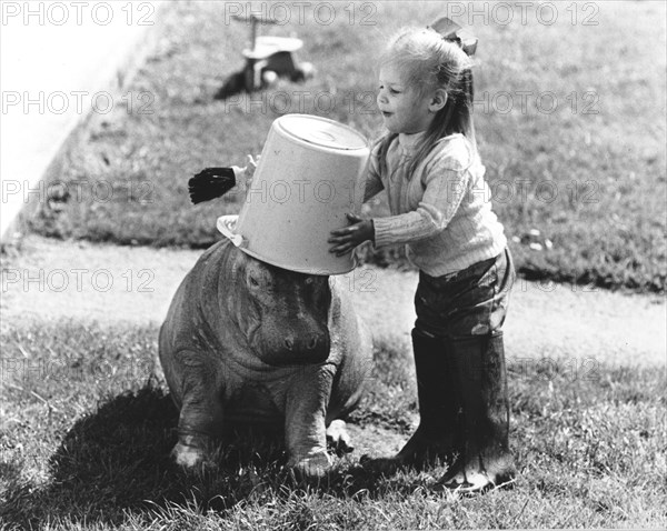 Little river horse and girl