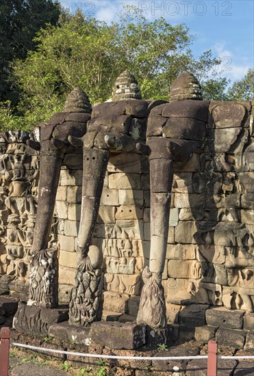 Terrace of the Elephants