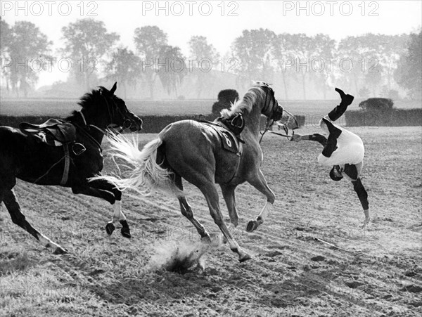 Horse-rider falls from the horse about 1970s