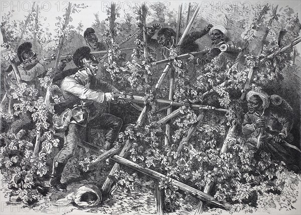 Battle of Bavarian infantry with Turcos and Znaben in the hop fields near Weissenburg