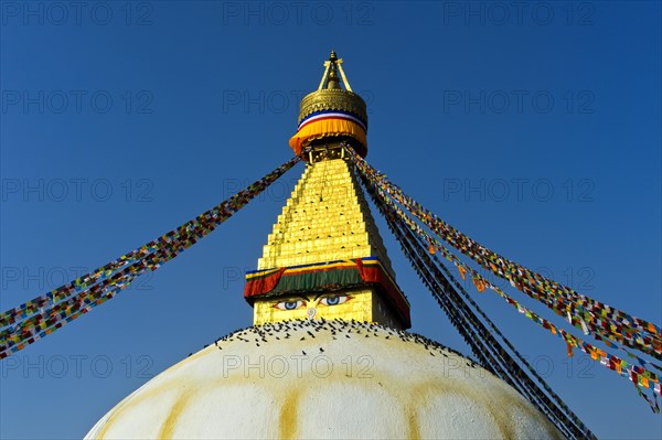 Boudhanath Stupa with birds