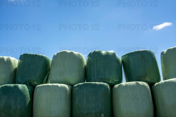 Bales wrapped in green plastic