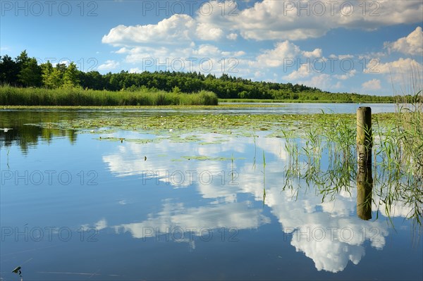 Granzow Lake