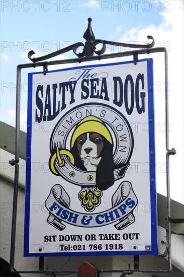 The Salty Seadog