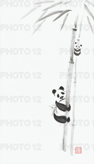 Cute big panda and a baby panda climbing bamboo trees