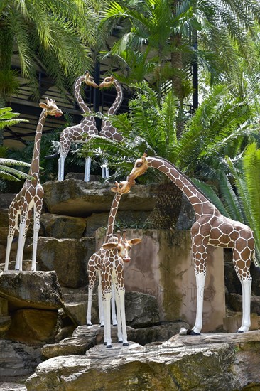 Giraffe figures