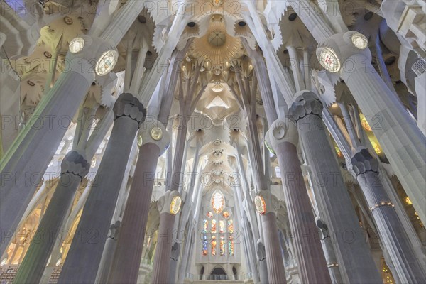 Interior view of the Sagrada Familia by Antoni Gaudi