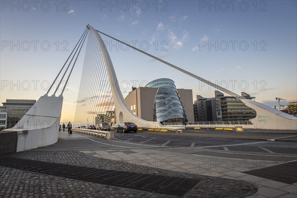 Samuel Beckett Bridge