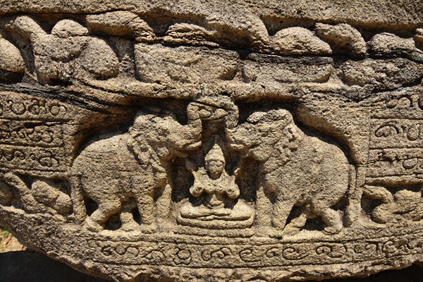 Moonstone with elephant motifs in front of the round reliquary house Vatadage