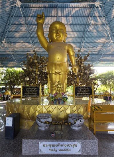 Baby Buddha in Wat Pa Thamma Utthayan