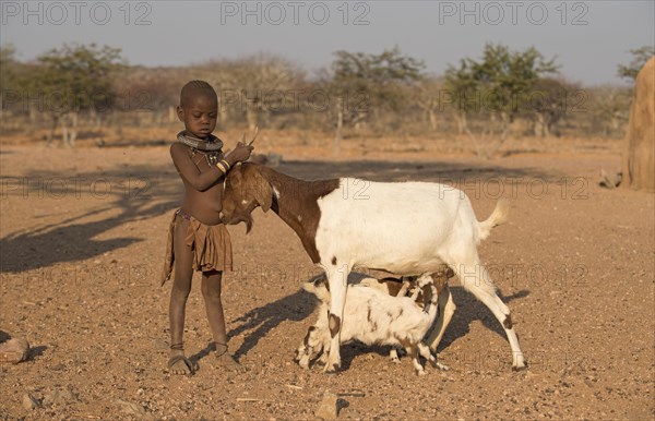 Himbamadchen holds a young goat while suckling the kittens