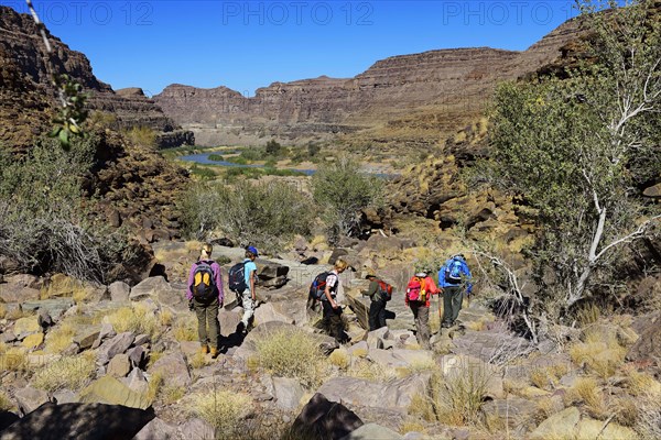 Hikers