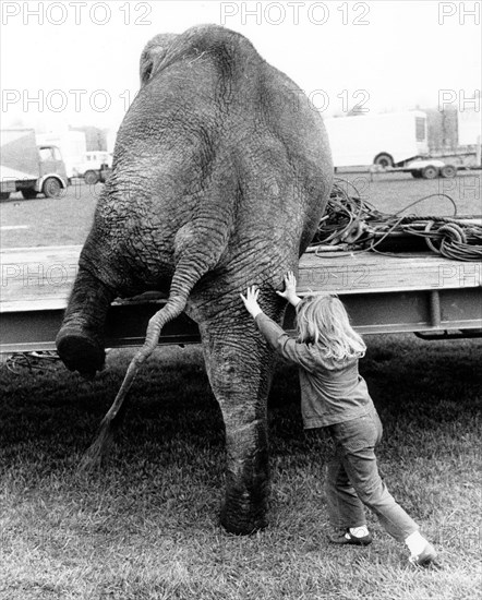 Girl pushes elephant