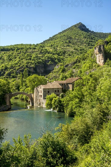 Grands Causses Natural Regional Park