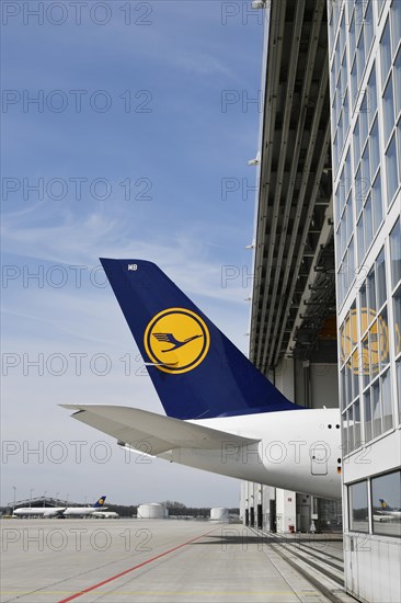 Lufthansa