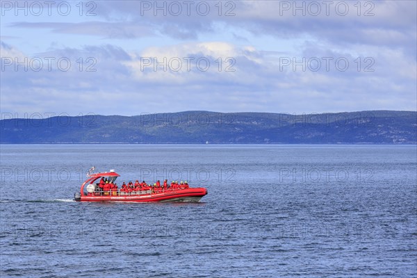 Whale watching tourists on the St. Lawrence River