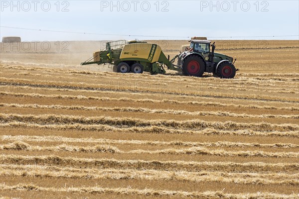 Tractor with straw baler on a mown wheat field