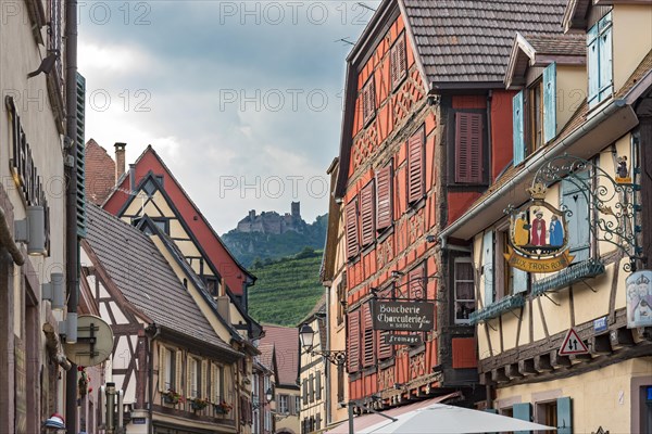 Old half-timbered houses with castle