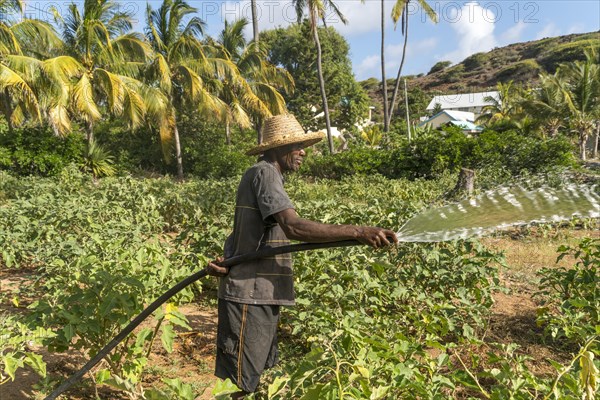 African farmer irrigaties field