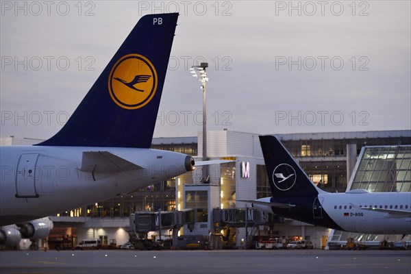 Lufthansa