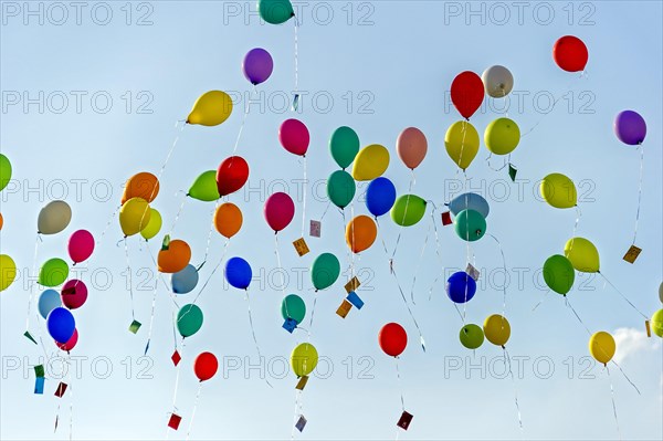 Colorful balloons rise to the sky