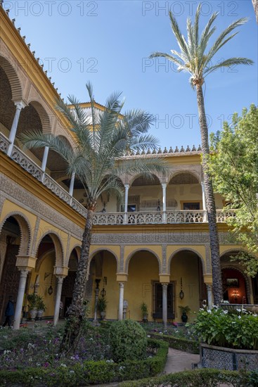 Courtyard with palm trees