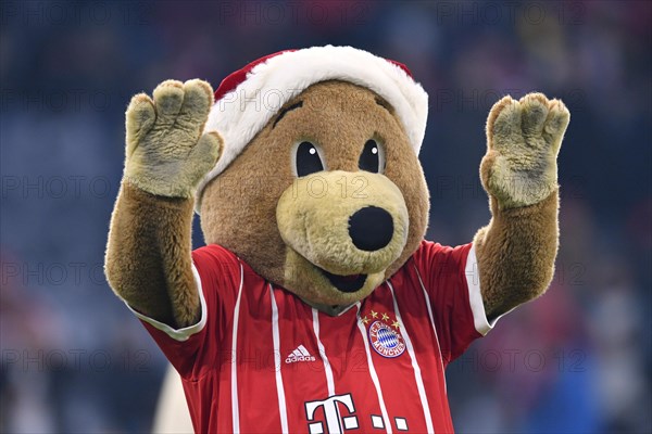 Mascot Bernie