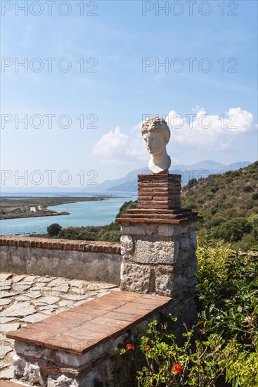 Bust of Apollo