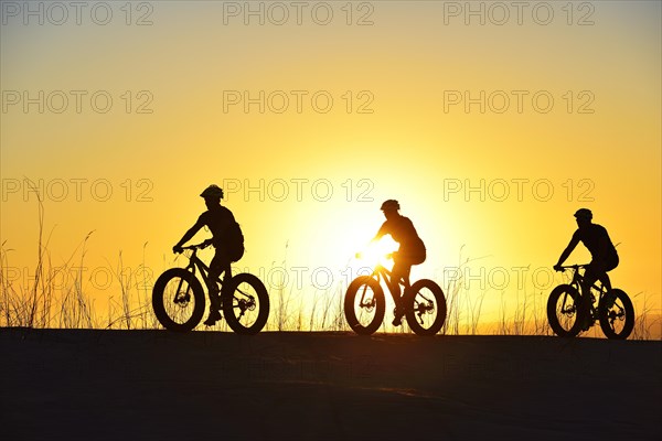 Mountain bikers with Fatbikes in the back light with sunset