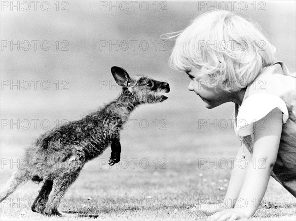 Child and baby kangaroo