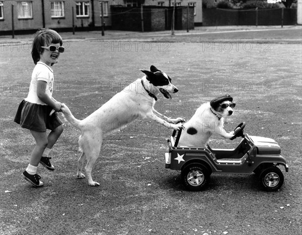 Girl plays with two dogs