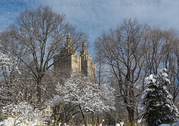 San Remo Building seen through snowy trees of Central Park in winter