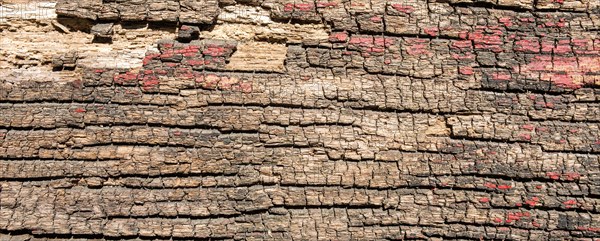 Weathered wood with red colour residues