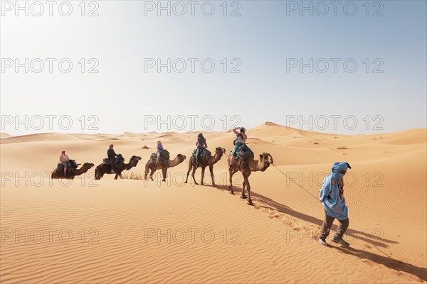 Caravan with dromedaries (Camelus dromedarius)