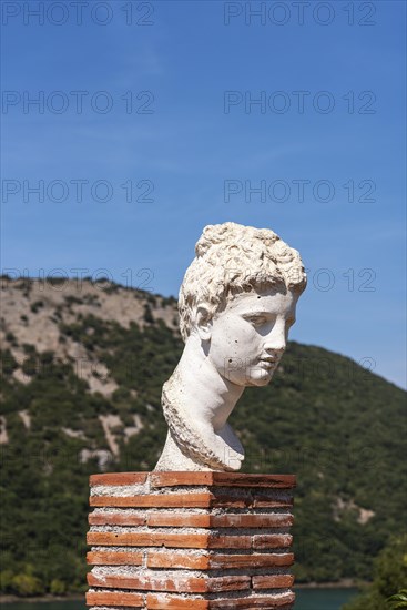 Bust of Apollo