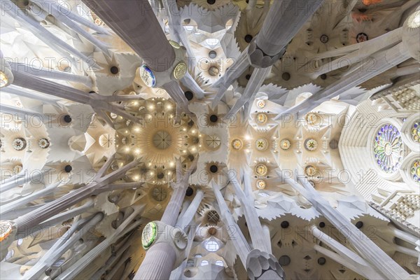 Interior view of the Sagrada Familia by Antoni Gaudi