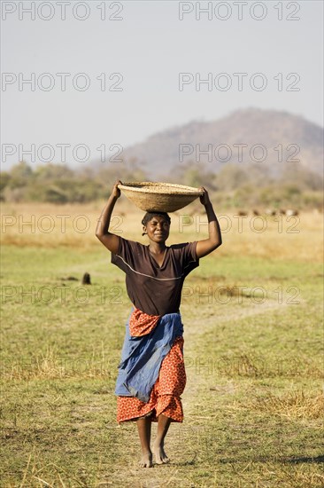 Tonga woman carries a basket with millet to her village at the Lake Kariba